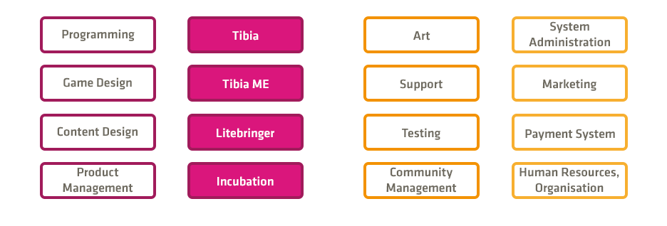 CipSoft Team Structure
