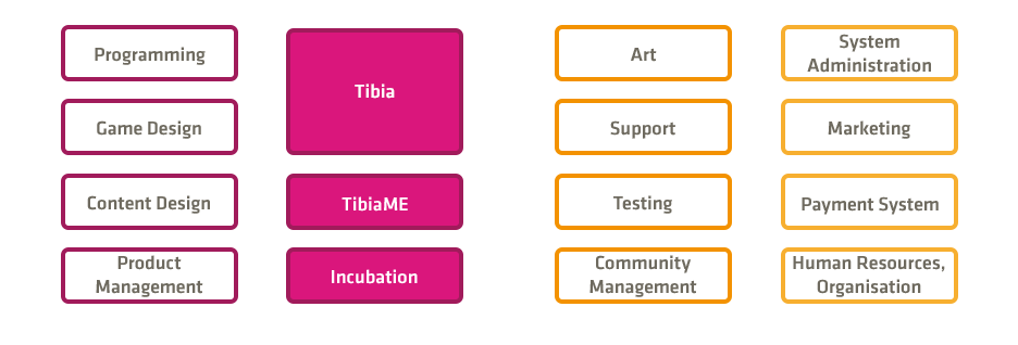 CipSoft Team Structure